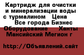 Картридж для очистки и минерализации воды с турмалином › Цена ­ 1 000 - Все города Бизнес » Оборудование   . Ханты-Мансийский,Мегион г.